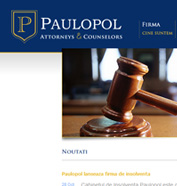 corporate id, web design, optimizare site - Paulopol