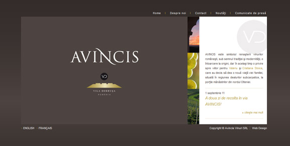 Prima pagină a website-ului Avincis.
