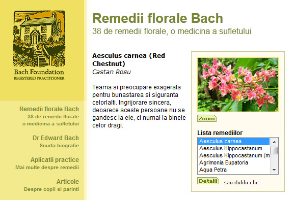 Detaliile unui remediu în site-ul web remediiflorale.ro